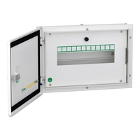 SPN DD Distribution Board Schneider  - 12 way, 12 modules