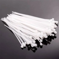100MM Cable Tie / Wire Tag (Pack of 100) - White