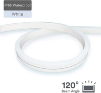 Neon Flexible Strip Led Light 5Mtr with adaptor cord - White