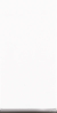 Lisha Blank Plate- White