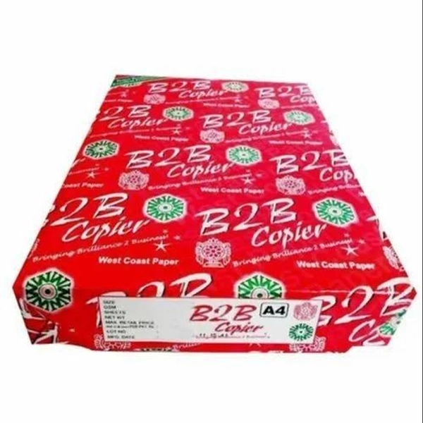 B2B A4 Size B2B Paper 500 Set - 21cm X 29.7cm