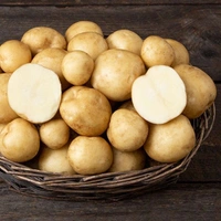 Potato - 500 g.