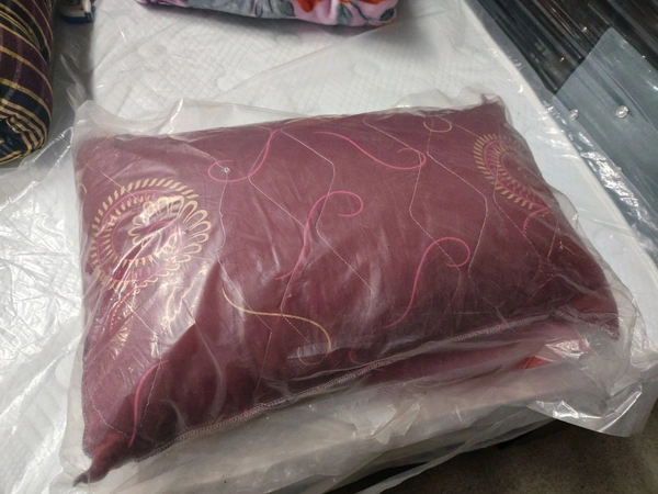 Recron Pillows