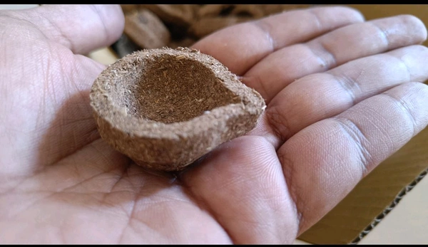 Panchagavya Diya / Panchagavya Vilakku - ( 100 Pcs) - 100 Pcs - 🔴 Prepaid Only