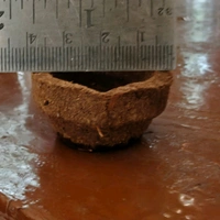 Panchagavya Diya / Panchagavya Vilakku - ( 100 Pcs) - 100 Pcs - 🔴 Prepaid Only