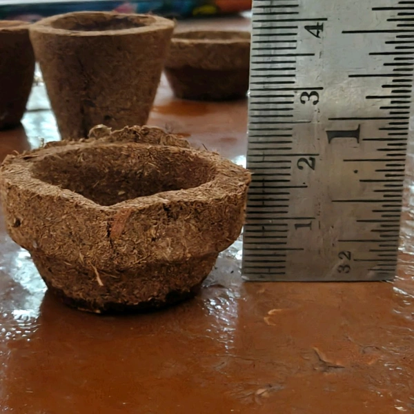 Panchagavya Diya / Panchagavya Vilakku - ( 100 Pcs) - 100 Pcs - 🔴 Prepaid Only