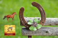 Iron Horse Shoe vastu - 🔴 Prepaid Only