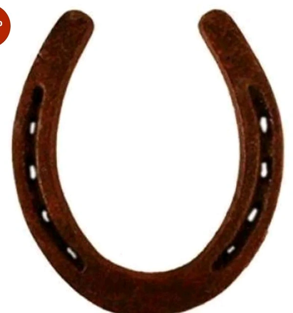 Iron Horse Shoe vastu - 🔴 Prepaid Only