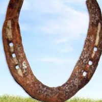 Iron Horse Shoe vastu - 🔴 Prepaid Only