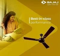 BAJAJ GRACE NEO BBD TIMBER GOLD 380RPM  BYE-BYE DUST