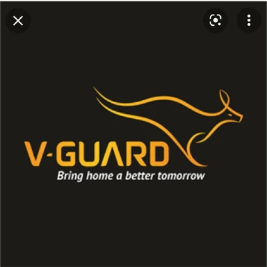 V GUARD WIRES