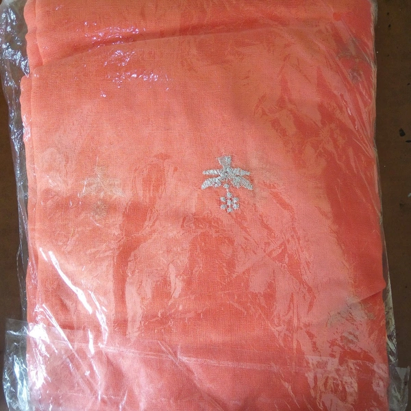 Orange Saree - Chilean Fire
