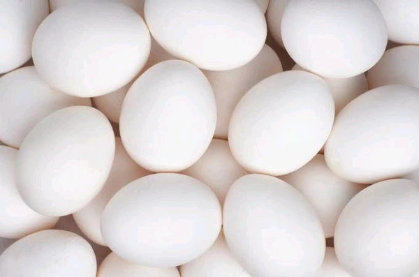 Egg Dozen(12 Pieces)