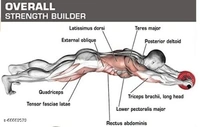 Gym Equipments