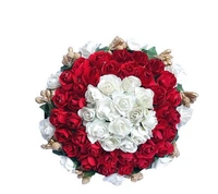 Diva Colorful Women Hair Accessories* - 1