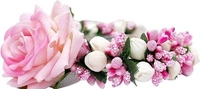 Glittering Women Hair Accessories