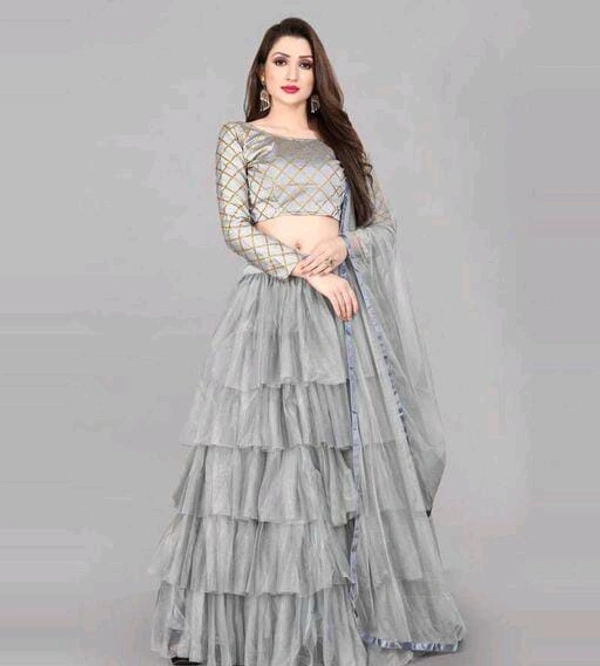 Net Lehenga - Grey
