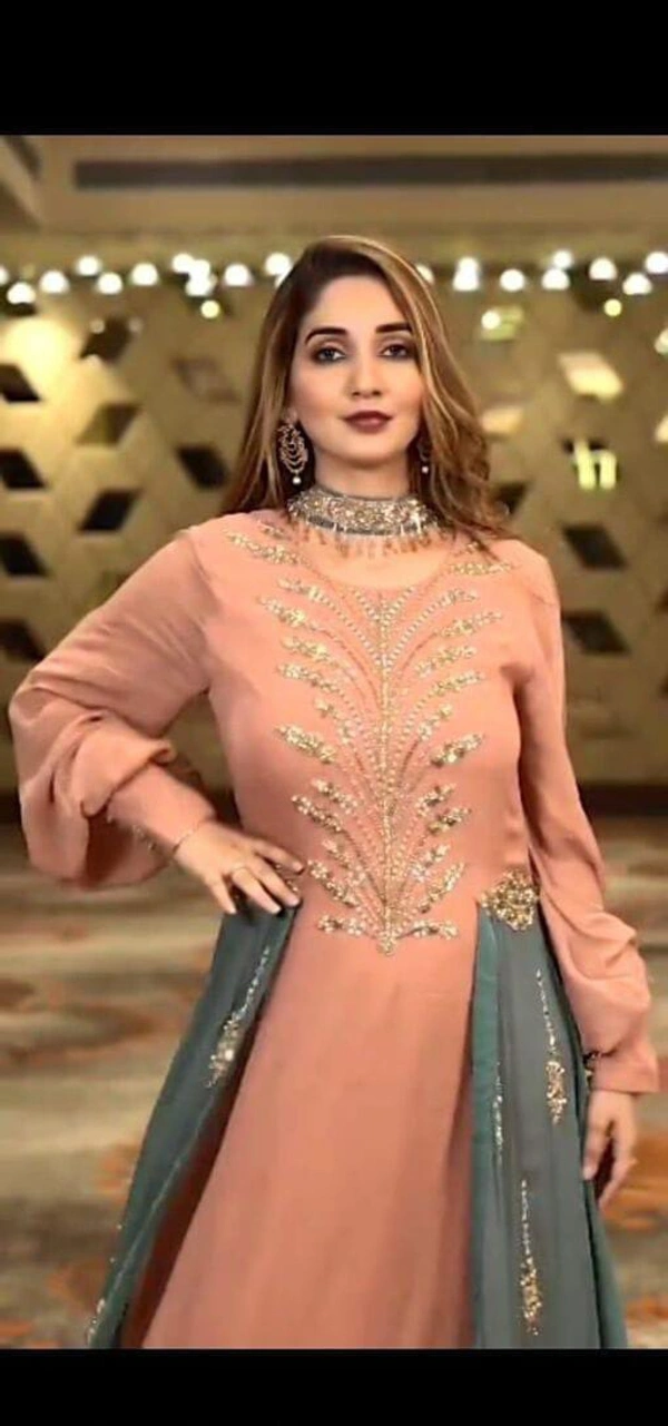 New Party Wear Gown  - 2