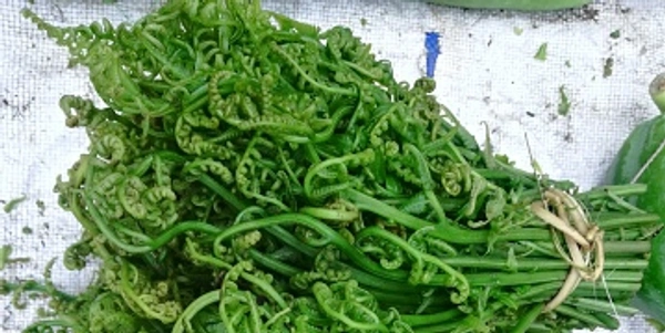 dhekia saag