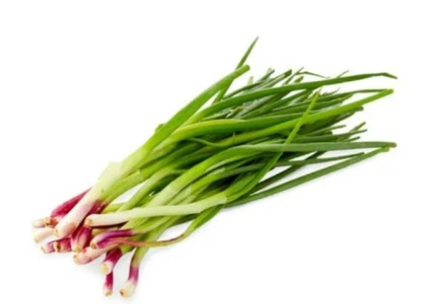 Onion Leaf 