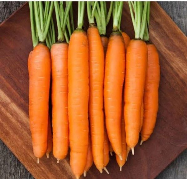 Carrot  ( Gajar  )