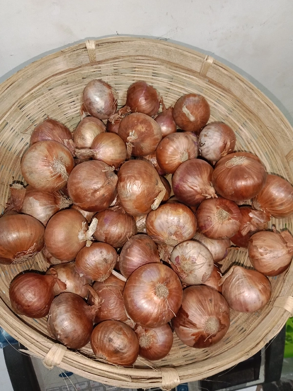 Onion - 5kg