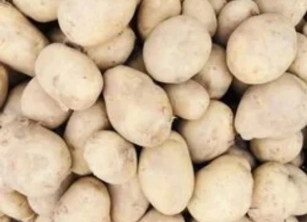 Bhutan Potato - 1 kg