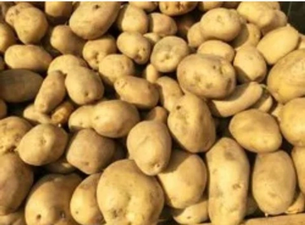 Bhutan Potato - 1 kg