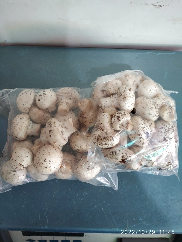 Button Mashroom - 220 gm