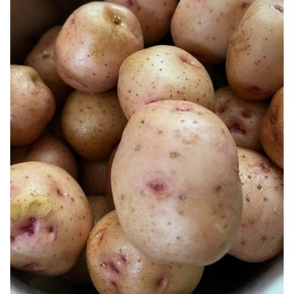  Potatoes Red - 1kg