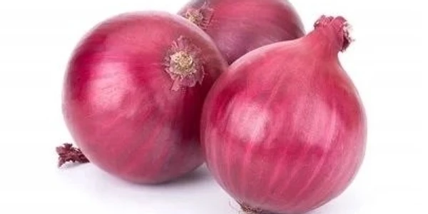 Onion