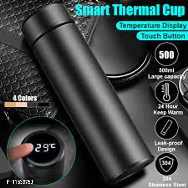 Temperature Water Bottle - Black, 500ml