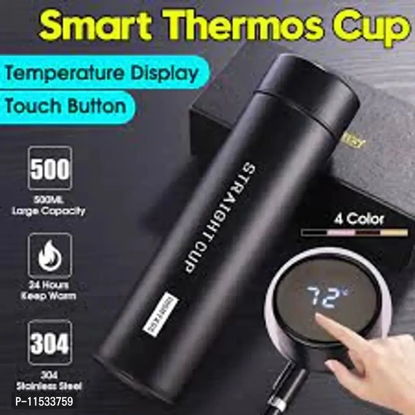 Temperature Water Bottle - Black, 500ml