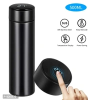 Temperature Water Bottle - Black, 500ml