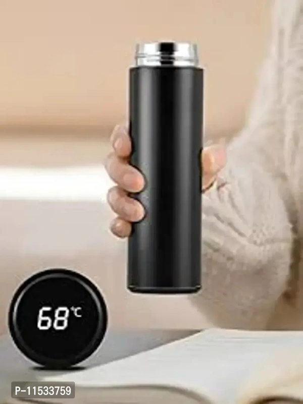 Temperature Water Bottle - Black, 500ml