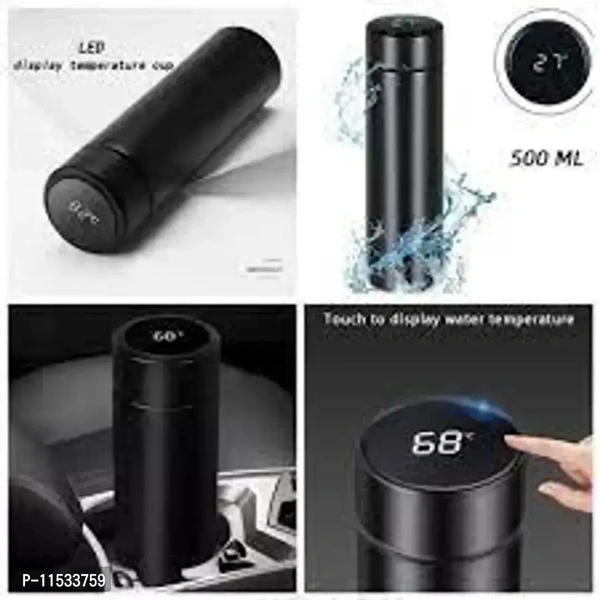 Temperature Water Bottle - Black, 500ml