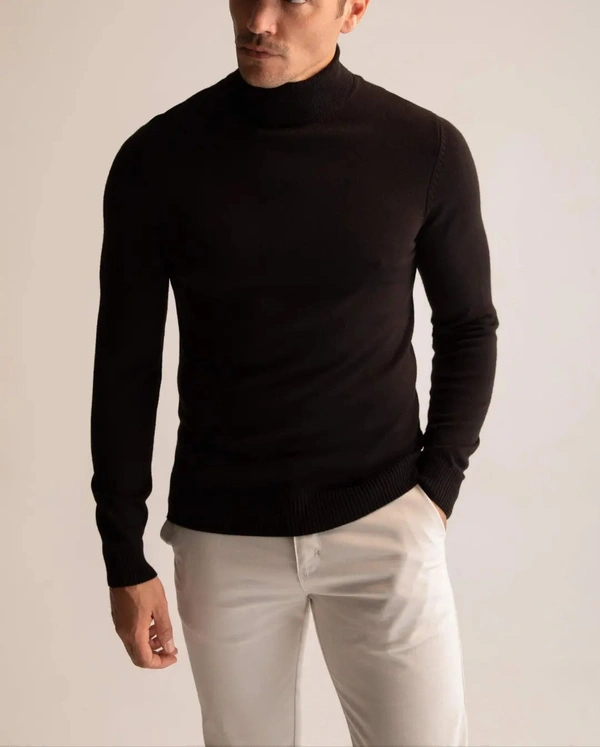 Men High Neck Sweat Shirt (Black)  - L, Black