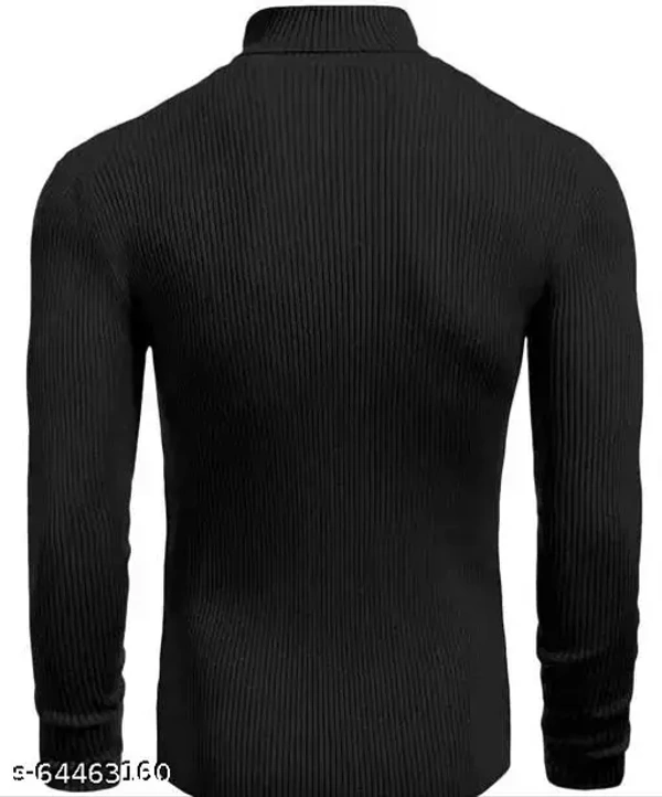 Men High Neck Sweat Shirt (Black)  - L, Black