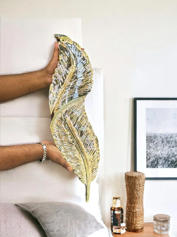 Wall Art Feather With Led Light  - 25 x 6 Inch