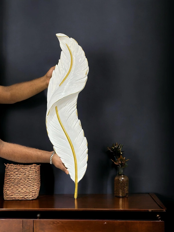 White Feather Wall Art With Led Light  - 25 x 6 Inch, White