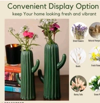 Cactus Vase 2pc Set  - Size 7 Inch