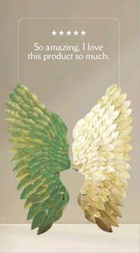 Wings Set Of 2pc Sun81