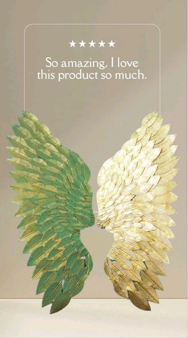 Wings Set Of 2pc Sun81