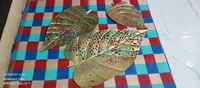 3pc Leaf Set Sun121