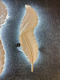 Ca01 Feather 24 Inch 