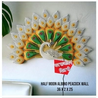 Half Moon albino Peacock SW14 - Size 36 x 25 inch