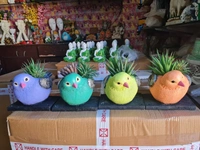Birds flower pots set of 4 pc - Size 8 inch