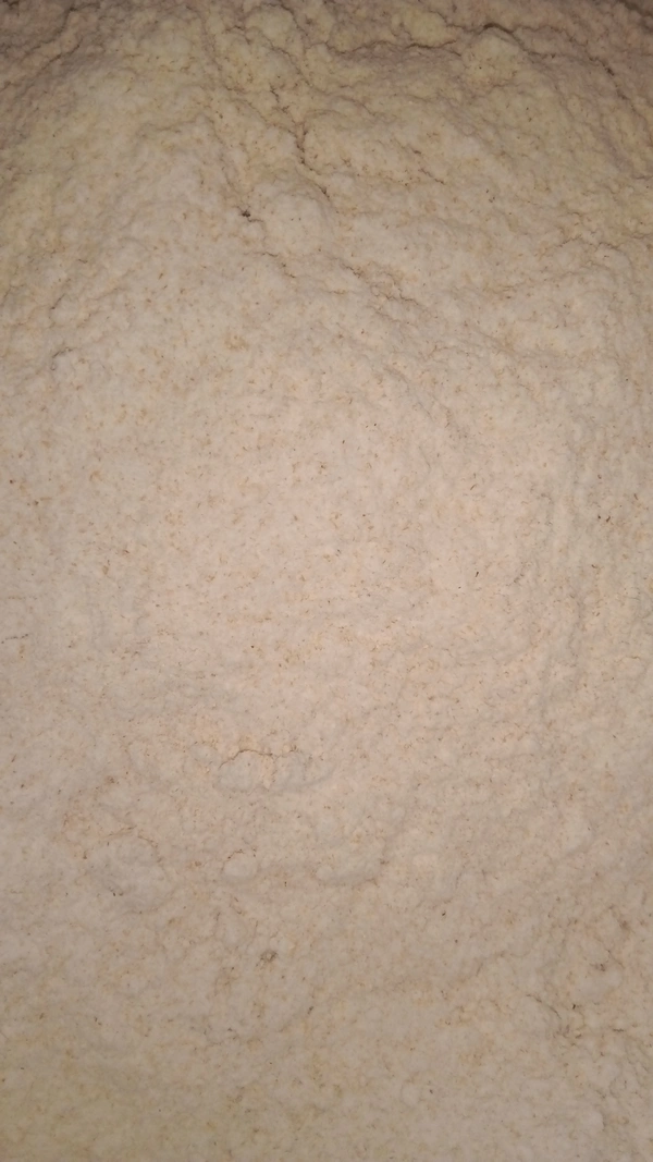 Wheat Flour Best Quality