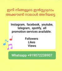 🔊 Our Services