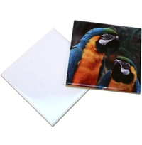 Rksports Ceramic Customisable Super Glossy Tiles - White, 2, 4*4